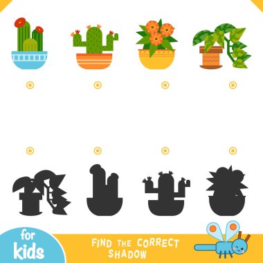 Doğru gölgeyi bul, eğitim oyunu, ev bitkileri seti