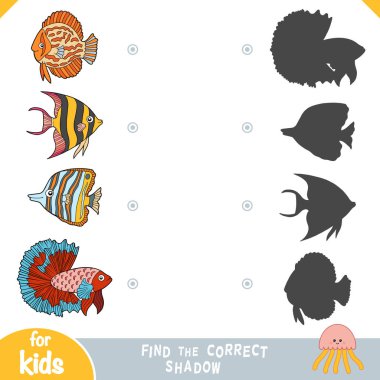 Find the correct shadow, education game, Set of cartoon fish clipart