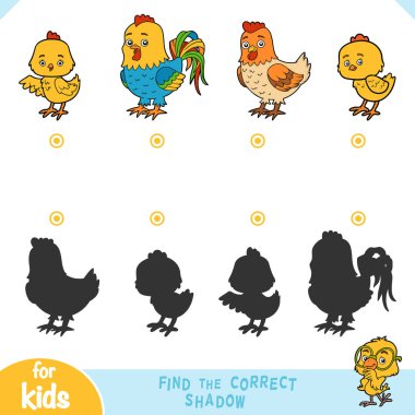 Doğru gölge, eğitim oyunu, Tavuk seti bulun