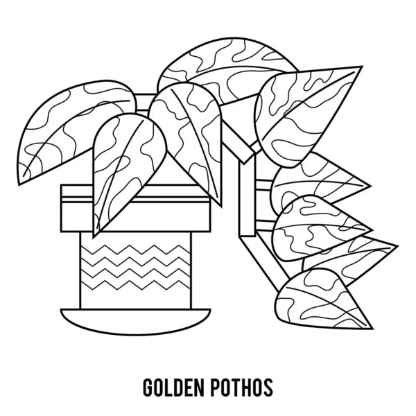 Featured image of post Golden Pothos Plant Drawing These 5 tips to grow golden pothos plants in containers are simple and doable