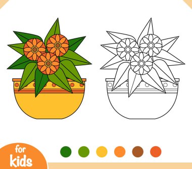 Boyama kitabı. Houseplants, Gerbera karikatür koleksiyonu