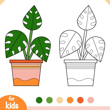 Boyama kitabı. Houseplants, Monstera çizgi film koleksiyonu