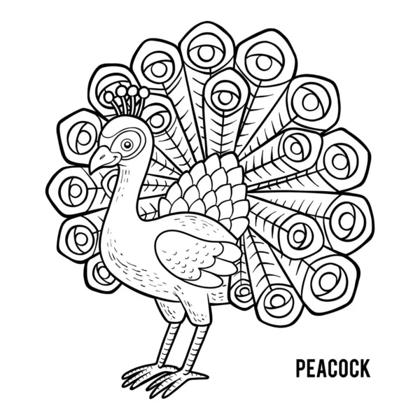 Coloring book, Peacock — Stock Vector