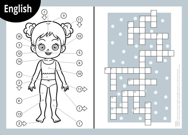 Vector crossword in English, education game for children about the human body. My body parts for a girl. — Stock Vector