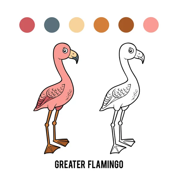 Coloring book, Greater Flamingo — Stock Vector