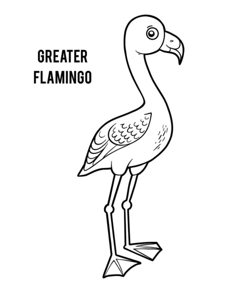 Coloring book, Greater Flamingo — Stock Vector