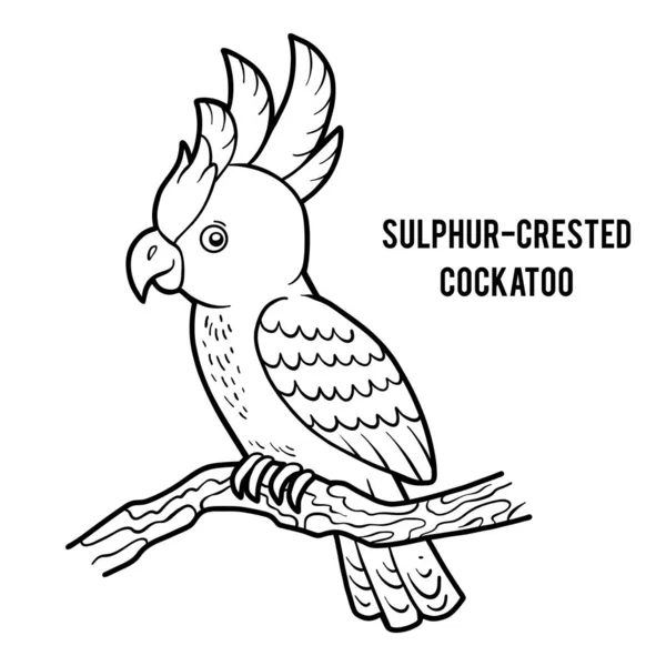 Coloring book, Sulphur-crested cockatoo — Stock Vector