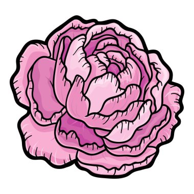 Çocuklar için çizgi film vektör çizimi, pembe şakayık.