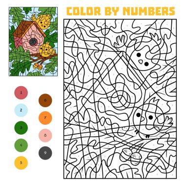 Renkli numara, çocuklar için eğitim oyunu, iki kuş ve bir kuş evi