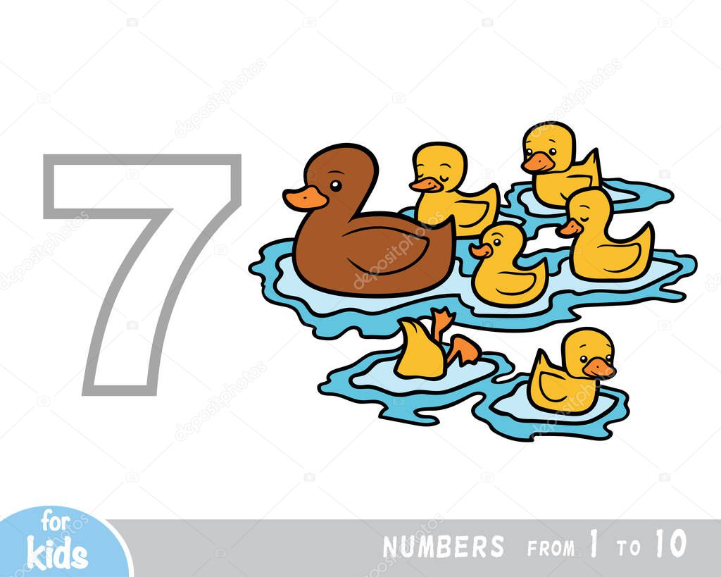 Educational poster for children about numbers. Digit seven, seven ducks. Vector cartoon illustration. Learning counts for preschoolers