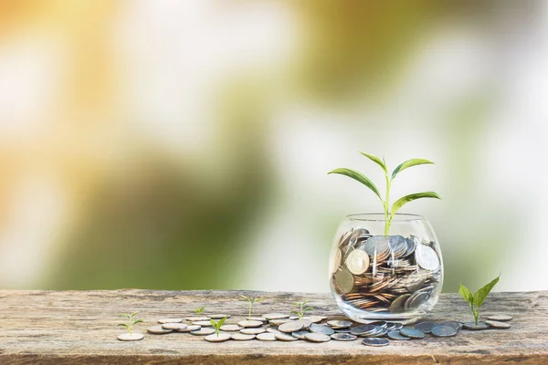 Investitionskonzept Wachstumspflanze Auf Münzen Klarglasflasche Auf Holztisch Mit Grün Verschwommenem — Stockfoto