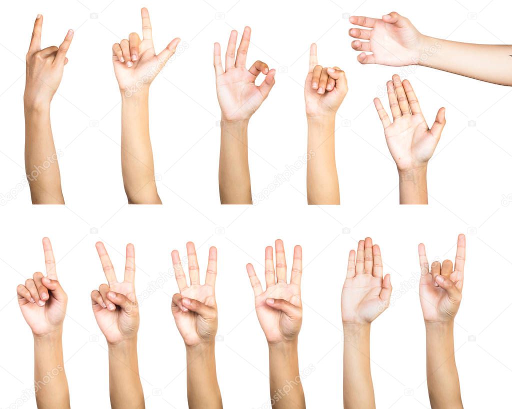 Clipping path of multiple female hand gesture isolated on white background. Isolation of hands count gesturing number or symbol on white background.