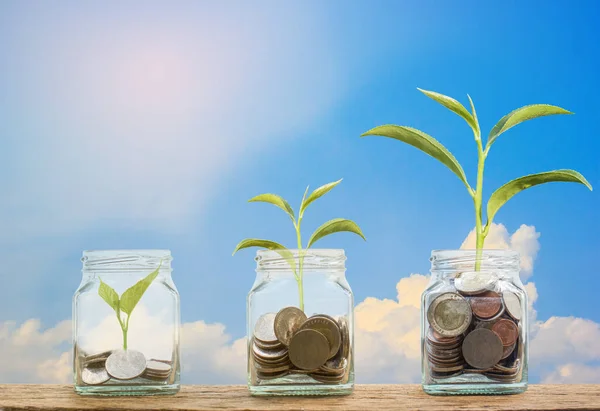 Investitionskonzept Wachstumspflanze Auf Münzen Drei Schritt Klarglasflasche Auf Holztisch Mit — Stockfoto