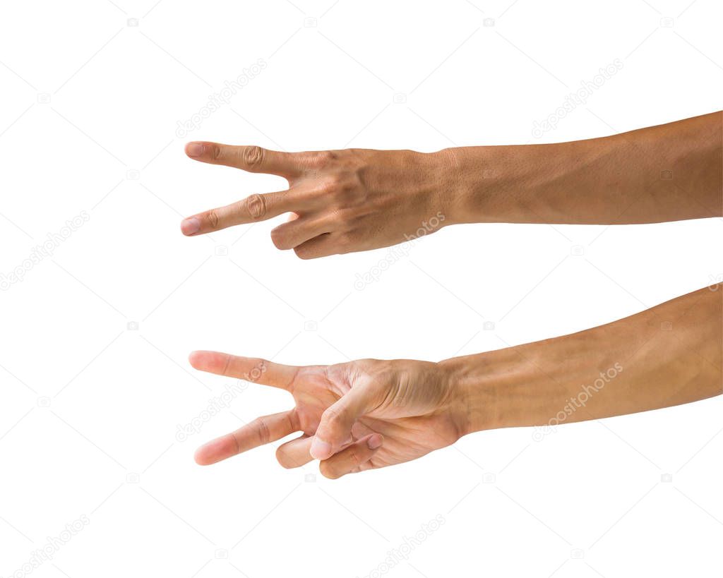Clipping path hand gestures isolated on white background. Hand making number two sign or symbol gesture. Back and front hand gesture.