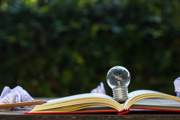 Light Bulb Growing Open Book Table Public Park Crumpled Papers — Stock Photo, Image