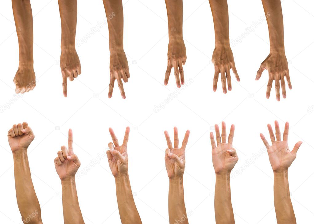 Set of hand gesture isolated on white background with clipping path. Collection of multiple front and back hands count numbers. upside down hand.