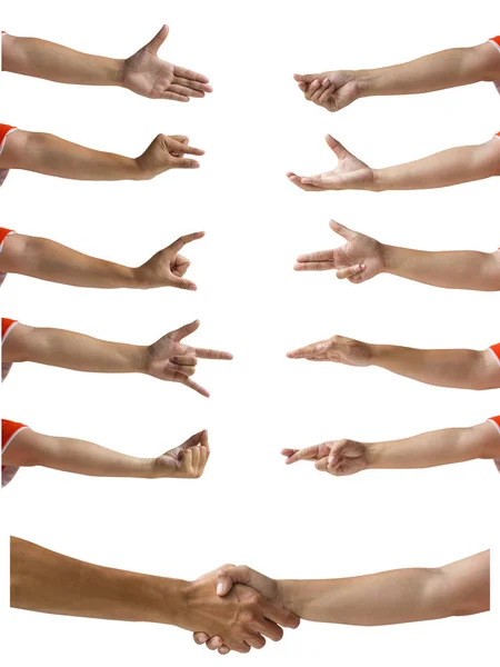 Clipping Path Hand Isolated White Multiple Female Caucasian Hands Gestures — Stock Photo, Image