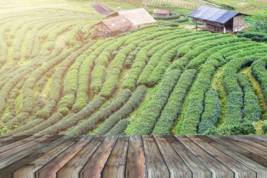 Ürün ekran reklam için çay plantasyon arka plan üzerinde boş ahşap masa montaj.