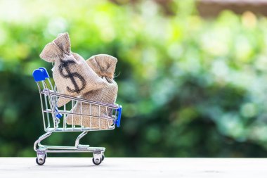 Online Pazar yeri, e-ticaret kavramı: bize para çantası masada yeşil bokeh arka plan ve mekan olarak alışveriş arabası olarak dolar. Para teslim kavramı kredi için.