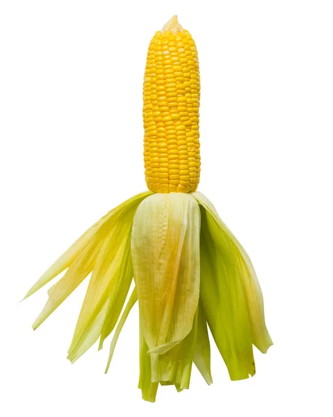 Nezpracovaná kukuřice izolovaných na bílém pozadí patří stříhání pat — Stock fotografie