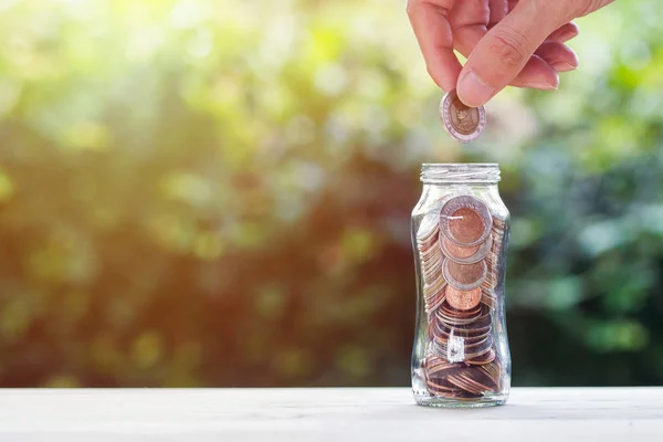 Financial investment / Savings money growing concept : Hand holding coin over coins in glass jar on wood table with nature and space. Conceptual saving money for growing business and life future.