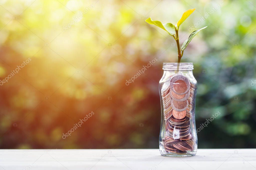 Savings, investment and interest concept : Stacked coins in glass jar and plant growing on top on wood table with green nature as background. Depicts the growth of capital investment.