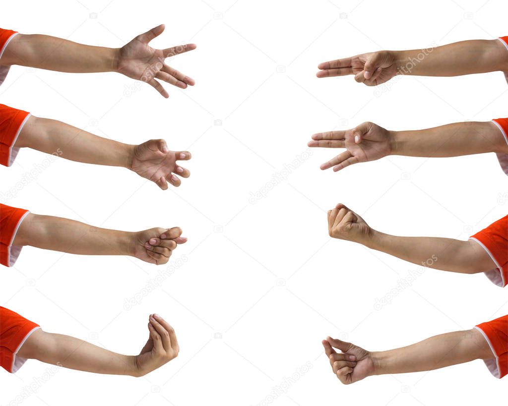Cropped of female hand gesture set isolated on white background. Clipping path include.