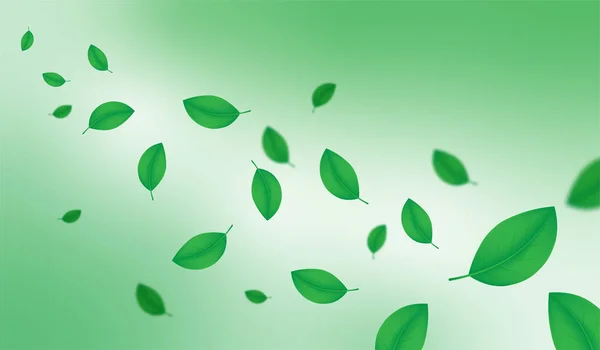 Kreativ Illustration Vårsäsongen Gröna Löv Bakgrund Dekorativa Vektorillustration Eps — Stock vektor