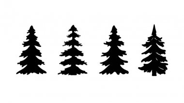 Siluet çam ağacı veya Noel ağacı seti. Vektör illustrati