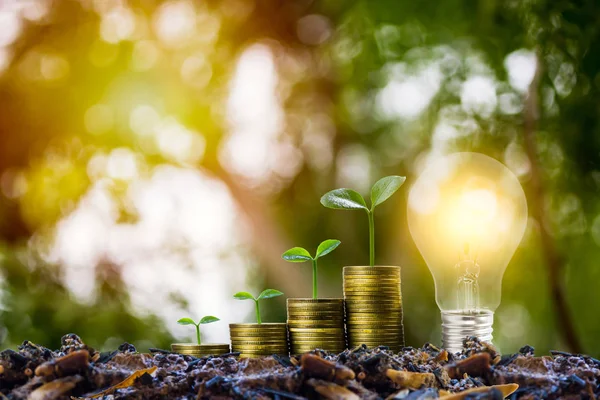 Spar- und Investitionskonzept. Pflanze wächst auf Stapel von Münzen — Stockfoto