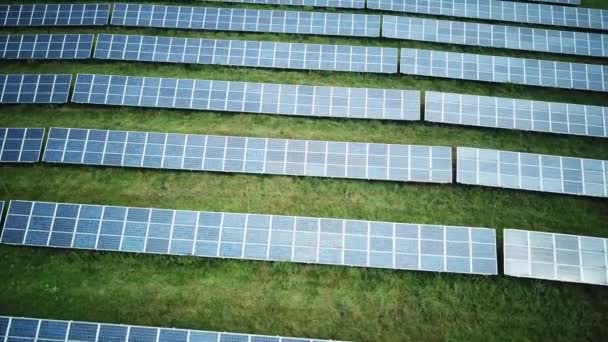 Planta Energía Solar Césped Vista Superior Hacia Abajo — Vídeo de stock