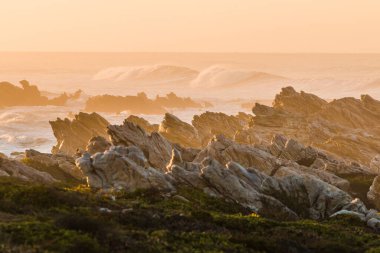 Rocky sahili altın saatinde, arkasında dalgalar var.
