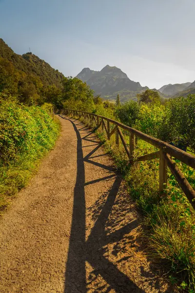 İspanya 'nın doğasındaki patika yolu.