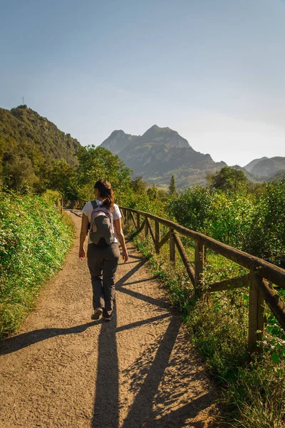 Dağ ormanlarında yürüyüş yapan genç bir kadın.