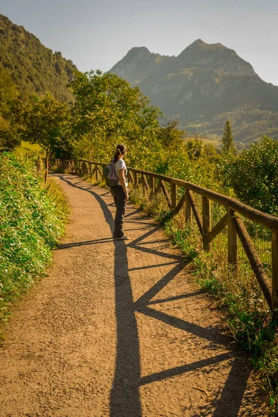 Dağ ormanlarında yürüyüş yapan genç bir kadın.
