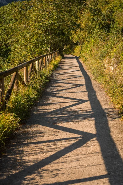 Track Way Nature Asturias Spain — Stock Photo, Image