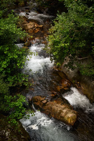 Asterias İspanya ormanlarında çağlayan
