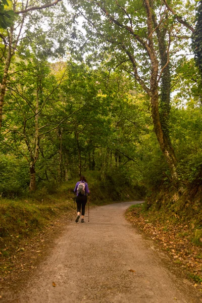 Dağ ormanlarında yürüyüş yapan genç bir kadın.