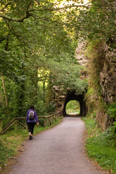 Dağ ormanlarında yürüyüş yapan genç bir kadın.