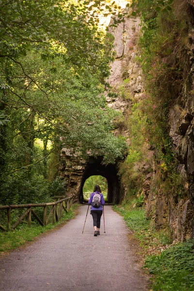 Dağ ormanlarında yürüyüş yapan genç bir kadın.