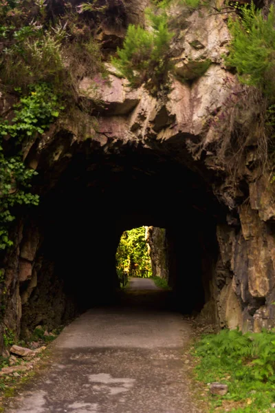 Tunnel Way Nature Asturias Spain — Stock Photo, Image