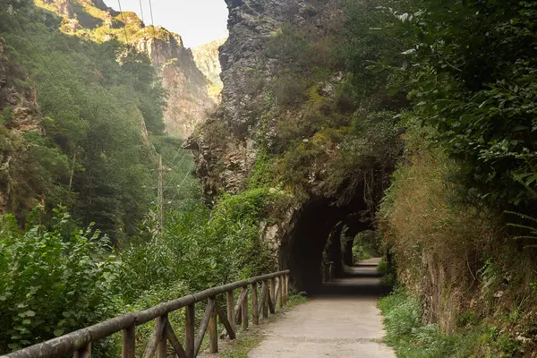 Tunnel Way Nature Asturias Spain — Stock Photo, Image