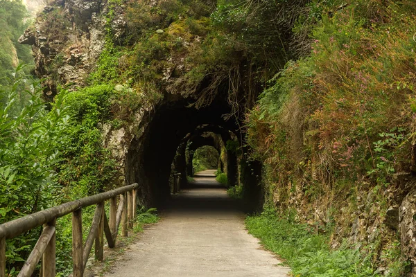 İspanya 'nın doğasındaki tünel.