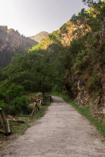 İspanya 'nın doğasındaki tünel.