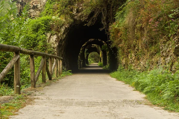 Tunnel Way Nature Asturias Spain — Stock Photo, Image