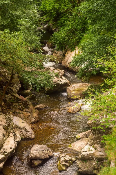 Asterias Spanya Ormanlarında Çağlayan — Stok fotoğraf