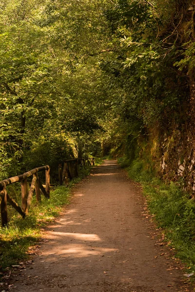 İspanya 'nın doğasındaki patika yolu.