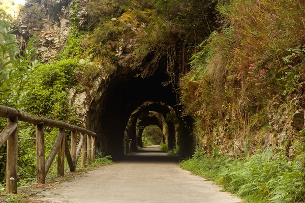 Tunnel Väg Naturen Asturias Spain Stockbild