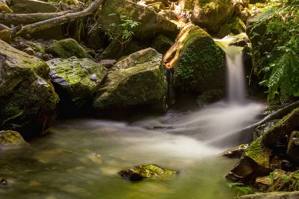 Asterias Spanya Ormanlarında Çağlayan — Stok fotoğraf