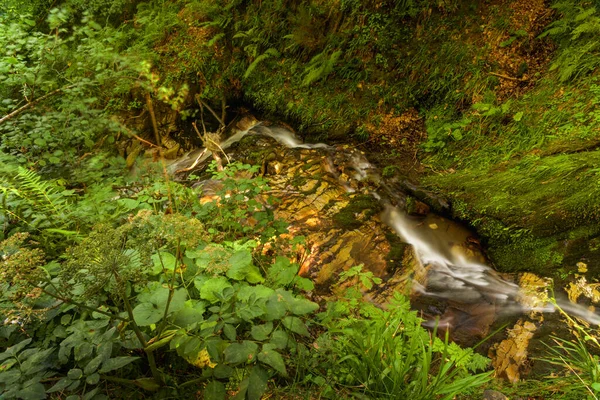 Kaskáda Španělském Lese Asturií — Stock fotografie